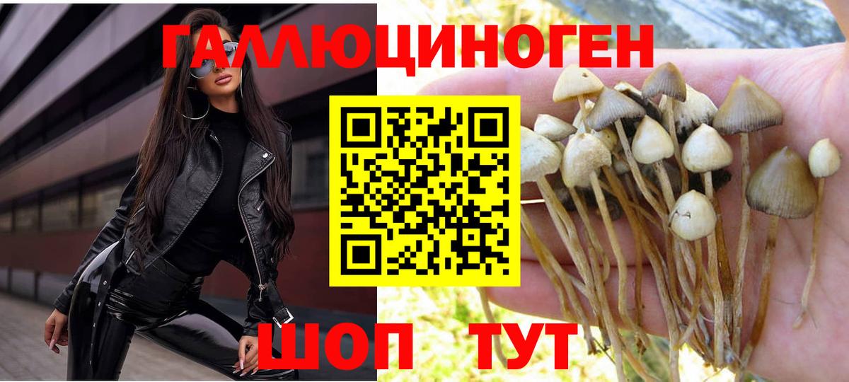Псилоцибиновые грибы мухоморы  Вход с VPN  Псилоцибиновые грибы Psilocybe  Ипатово 